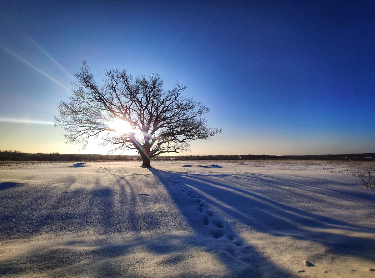 Жители Владимирской области переживают одни из самых продолжительных морозов. Уже несколько дней подряд столбики термометров уверенно держатся на рекордно низкой отметке. Чем же запомнятся нам эти холода?
