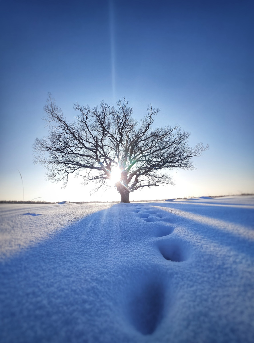 Жители Владимирской области переживают одни из самых продолжительных морозов. Уже несколько дней подряд столбики термометров уверенно держатся на рекордно низкой отметке. Чем же запомнятся нам эти холода?