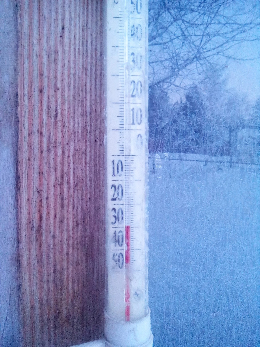 Жители Владимирской области переживают одни из самых продолжительных морозов. Уже несколько дней подряд столбики термометров уверенно держатся на рекордно низкой отметке. Чем же запомнятся нам эти холода?