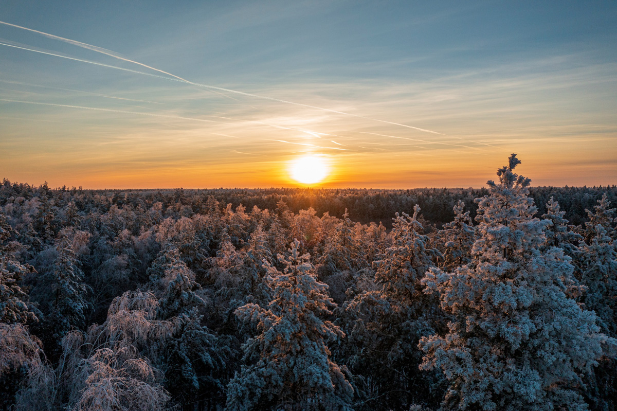 Село Ряхово в Камешковском районе, находящееся на границе Ивановской и Владимирской областей, многие годы приманивает отчаянных путешественников. Они едут в некогда заброшенную Смоленскую церковь, окружённую Веретьевским погостом. Чем примечательно это место? Какие легенды ходят о нём среди жителей региона? Языческие боги, призраки, забвение и километры, отделяющие от цивилизации, — восстанавливаем хронологию аномально интересной зоны в Ряхово.