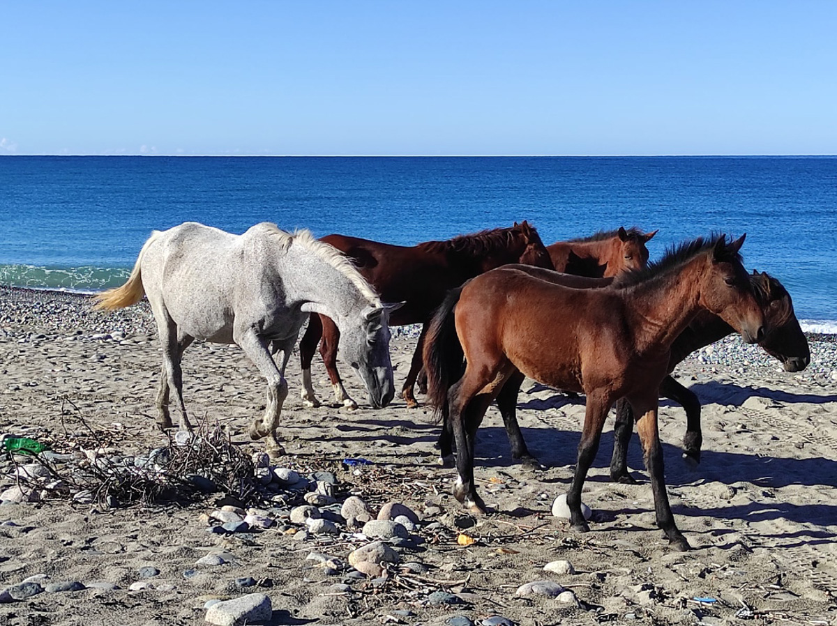 Поход – вариант отдыха не для всех. Зато истинным адреналинщикам долгий путь, полный опасностей, помогает снять стресс лучше, чем долгий сон и мороженое под сериальчик. Анастасия Резонтова из Владимира уже 4 года увлечена экстримом. Без сплавов и скал жизнь не та. Нашему изданию девушка поведала об этом рисковом и разнообразном досуге.