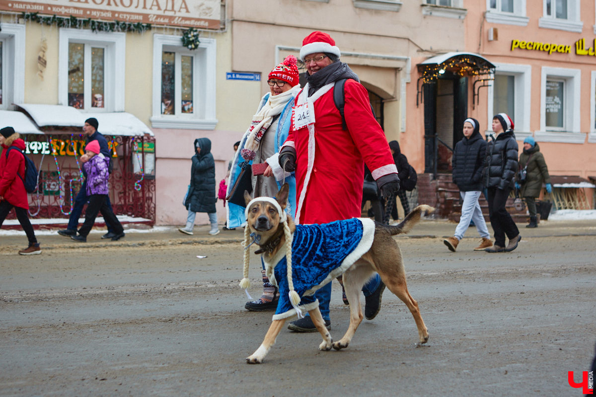 В минувшие выходные во Владимире прошел традиционный забег главных волшебников зимы. И многие горожане подготовились к нему по полной программе! «Ключ-Медиа» побывал на карнавальном состязании и готов поделиться своим топом самых интересных костюмов участников спортивно-развлекательного мероприятия.