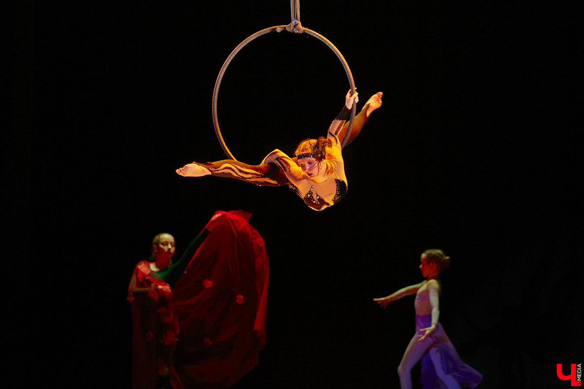 Ученицы школы балета для взрослых «Матильда» и школы воздушной гимнастики Aerial ballerinas стали частью «трёхмерной истории». Над сценой юные спортсменки показывали своё мастерство со стропами, обручами и полотнами, а ставшие балеринами жительницы Владимира заполнили освободившееся «на земле» пространство танцем. Новаторский спектакль сопровождался резкими вздохами удивлённых гостей и непрерывными аплодисментами. Подробнее о том, какой получилась необычная «Снежная королева», рассказываем в материале.