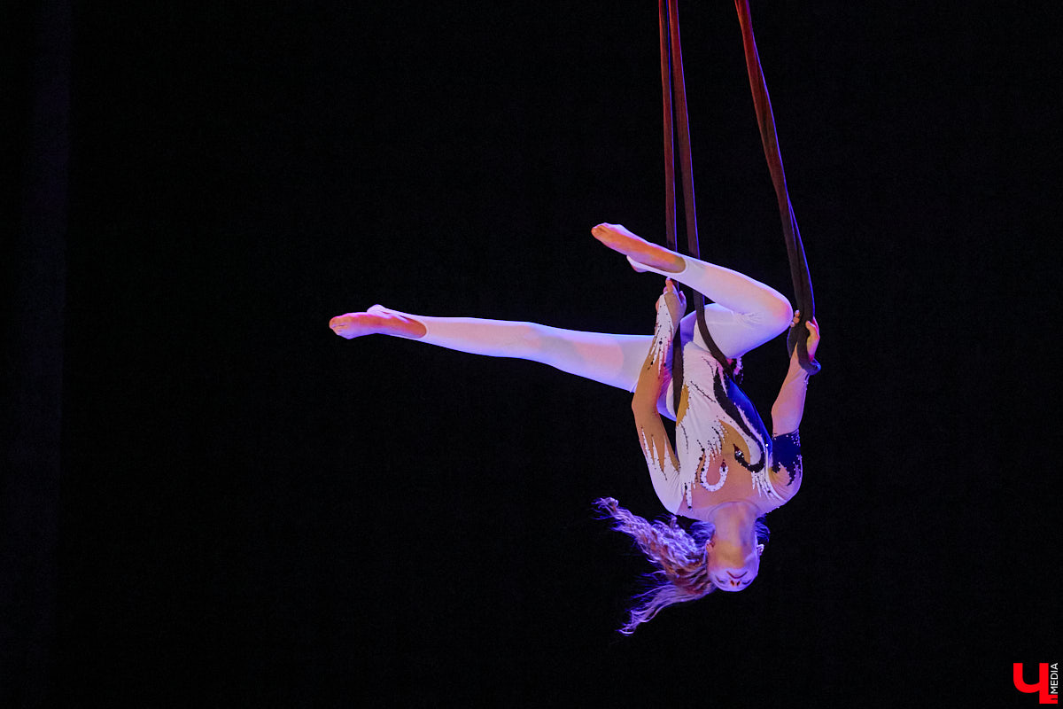 Ученицы школы балета для взрослых «Матильда» и школы воздушной гимнастики Aerial ballerinas стали частью «трёхмерной истории». Над сценой юные спортсменки показывали своё мастерство со стропами, обручами и полотнами, а ставшие балеринами жительницы Владимира заполнили освободившееся «на земле» пространство танцем. Новаторский спектакль сопровождался резкими вздохами удивлённых гостей и непрерывными аплодисментами. Подробнее о том, какой получилась необычная «Снежная королева», рассказываем в материале.