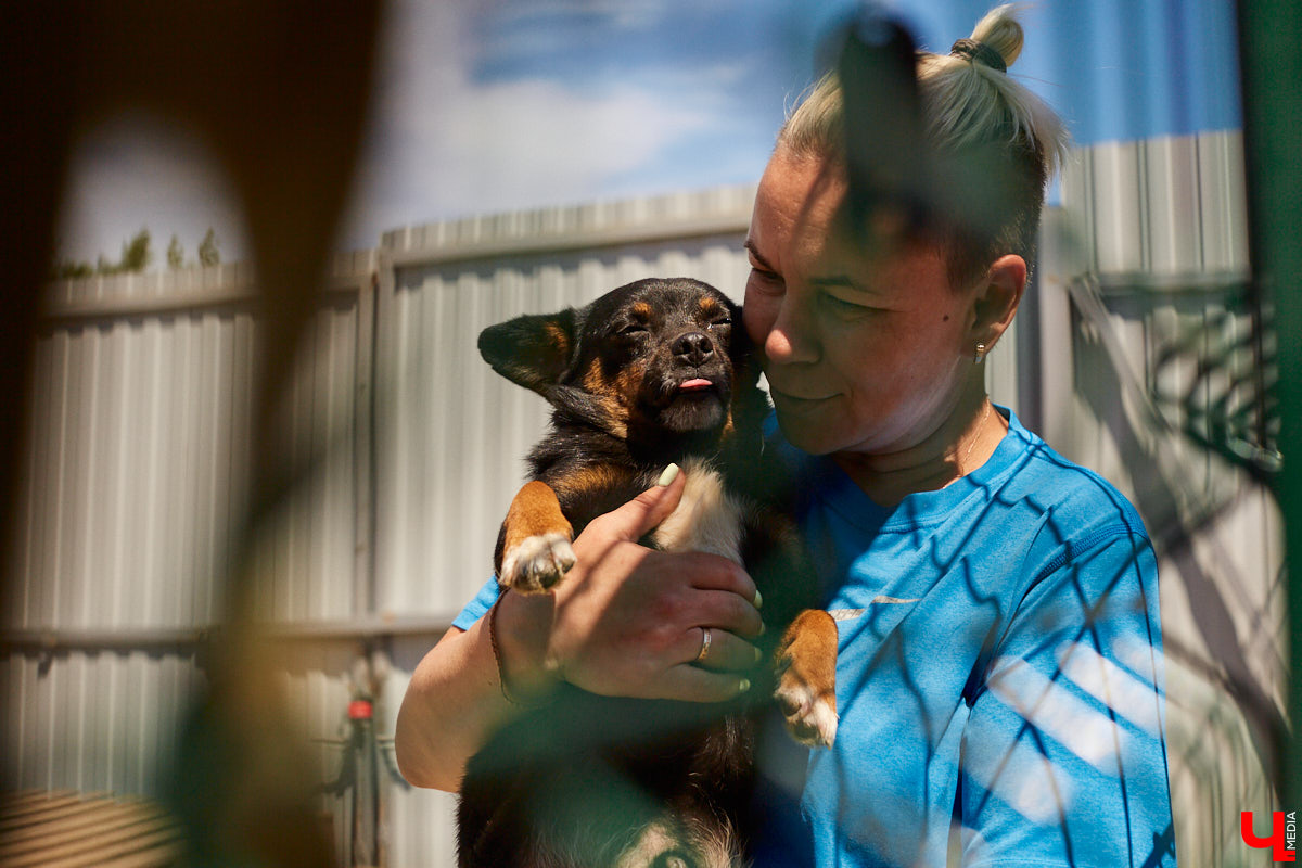 Владимирский благотворительный фонд «Дорога добра» во второй раз получил президентский грант и совсем скоро, уже в феврале, его мечта станет реальностью. На территории приюта появится долгожданный SOS-вагончик, где ветеринары смогут проводить бесплатную стерилизацию бездомных животных и делать несложные процедуры, например, ставить прививки хвостатым пациентам.