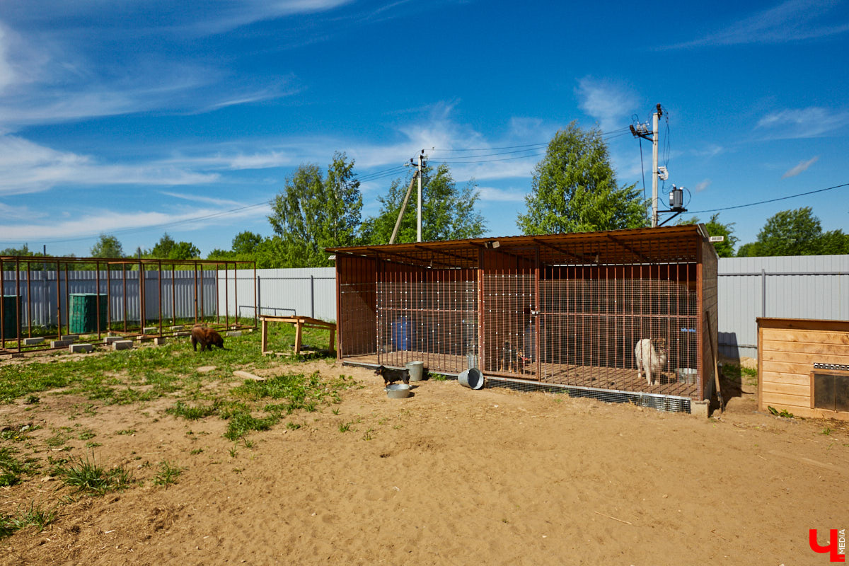 Владимирский благотворительный фонд «Дорога добра» во второй раз получил президентский грант и совсем скоро, уже в феврале, его мечта станет реальностью. На территории приюта появится долгожданный SOS-вагончик, где ветеринары смогут проводить бесплатную стерилизацию бездомных животных и делать несложные процедуры, например, ставить прививки хвостатым пациентам.