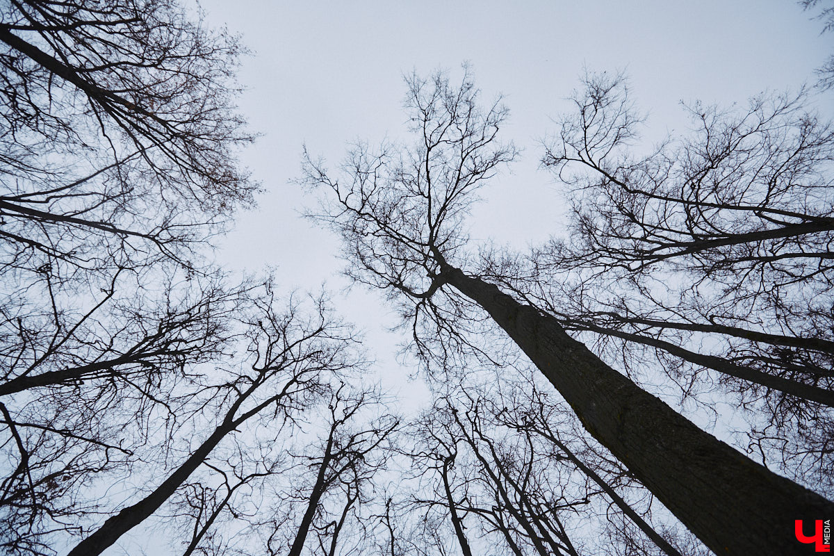 Относиться к эпатажному, своенравному, не всегда трезвому представителю русской литературы можно по-всякому, но без интереса следить за его похождениями невозможно. Доказываем это прогулкой с экскурсоводом Владимиром Новиковым по местам лихого студенчества Венички Ерофеева. Встречаемся у школы-интерната на Стрелецкой, надеваем уютные тапочки и потопали!