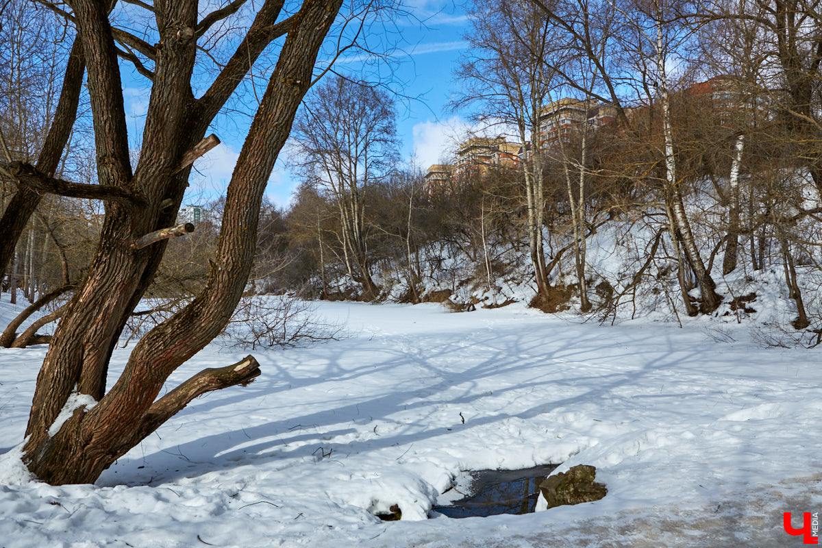 В этом году в нашем городе начнется благоустройство сразу нескольких значимых пространств для отдыха. Какие-то ждали перемен уже давно, но есть и те, что довольно неожиданно ворвались в планы по реновации общественных зон.