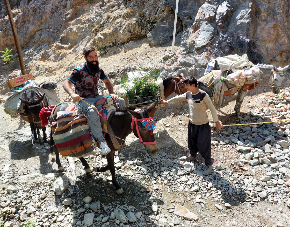 Владимирский документалист-исследователь Андрей Дубровский в феврале выпустит первую книгу о путешествии в Иран. Стоит ли россиянам ехать в страну с «оси зла»? Опасна ли она для туристов? И что можно в стране, где ничего нельзя? Ищите ответы в нашем интервью.