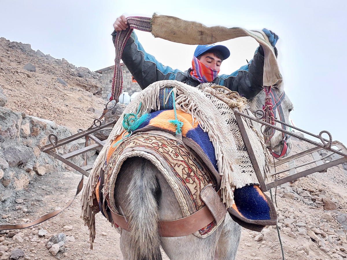 Владимирский документалист-исследователь Андрей Дубровский в феврале выпустит первую книгу о путешествии в Иран. Стоит ли россиянам ехать в страну с «оси зла»? Опасна ли она для туристов? И что можно в стране, где ничего нельзя? Ищите ответы в нашем интервью.