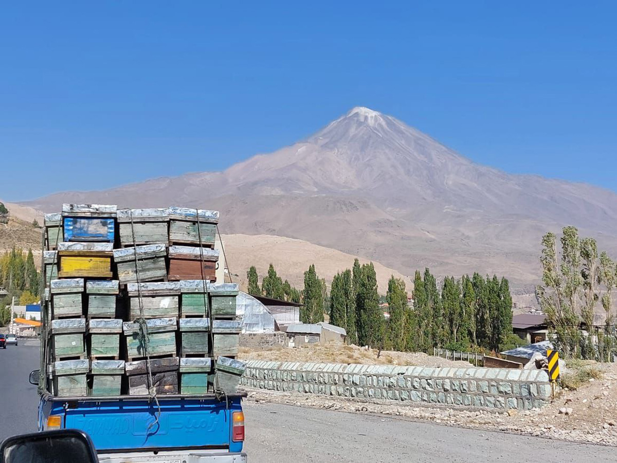 Владимирский документалист-исследователь Андрей Дубровский в феврале выпустит первую книгу о путешествии в Иран. Стоит ли россиянам ехать в страну с «оси зла»? Опасна ли она для туристов? И что можно в стране, где ничего нельзя? Ищите ответы в нашем интервью.