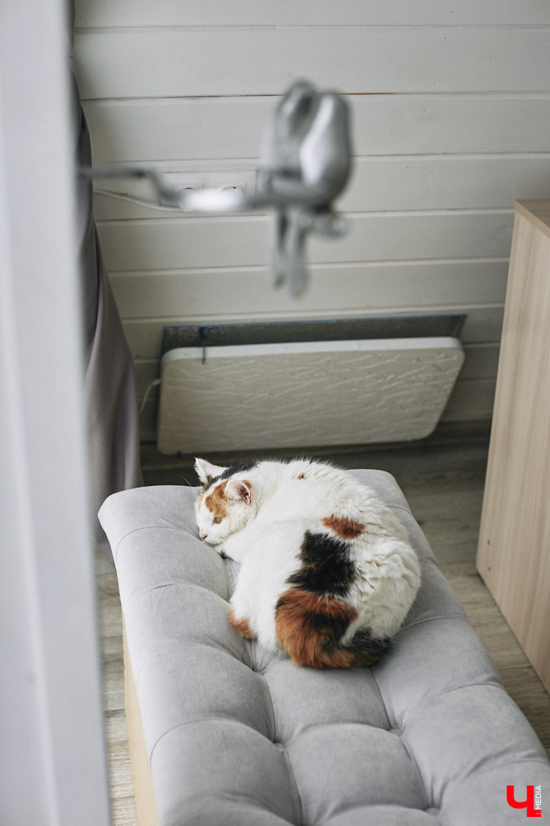 У владимирского блогера Анны Антоновой (в девичестве — Шиш) была мечта — жить в треугольном доме! Муж девушки, Артем, поспешил воплотить мечту любимой в реальность, а потому за несколько месяцев своими руками построил уютное семейное гнездышко. «Ключ-Медиа» побывал в гостях у молодоженов и узнал, каково им жить в уединении посреди заснеженного леса.