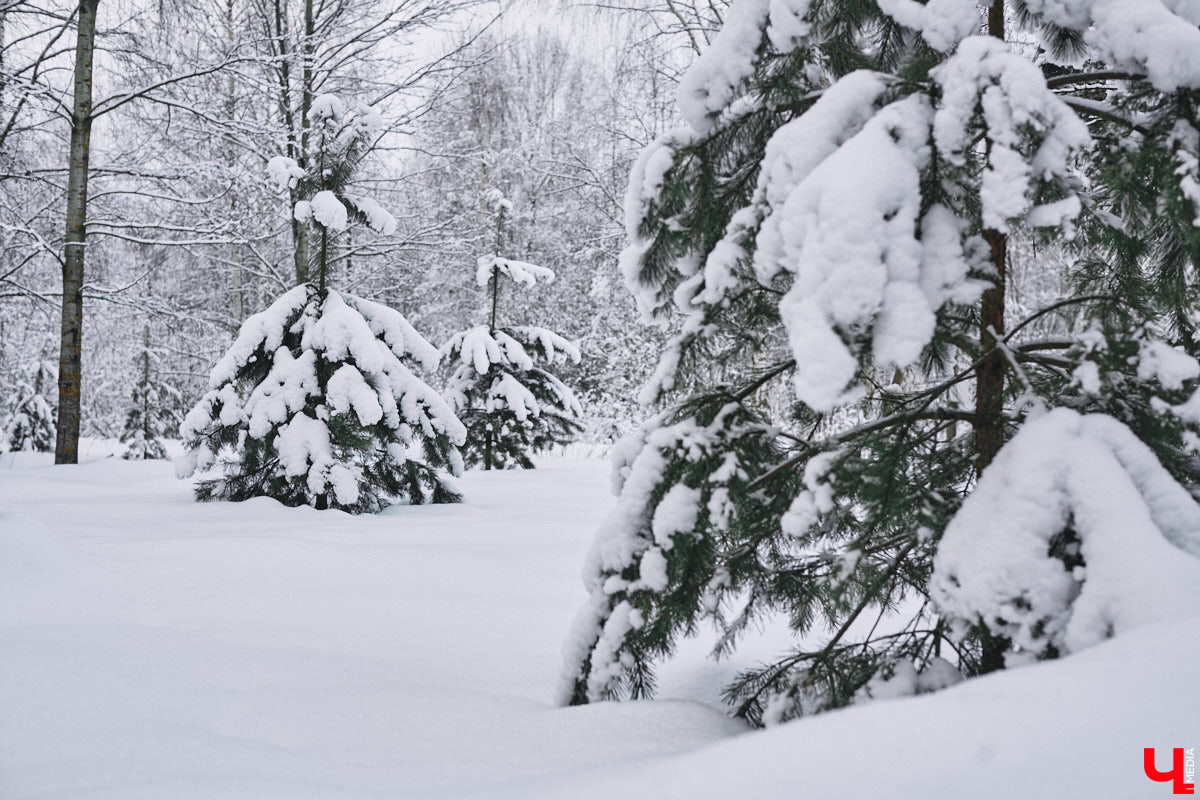 У владимирского блогера Анны Антоновой (в девичестве — Шиш) была мечта — жить в треугольном доме! Муж девушки, Артем, поспешил воплотить мечту любимой в реальность, а потому за несколько месяцев своими руками построил уютное семейное гнездышко. «Ключ-Медиа» побывал в гостях у молодоженов и узнал, каково им жить в уединении посреди заснеженного леса.