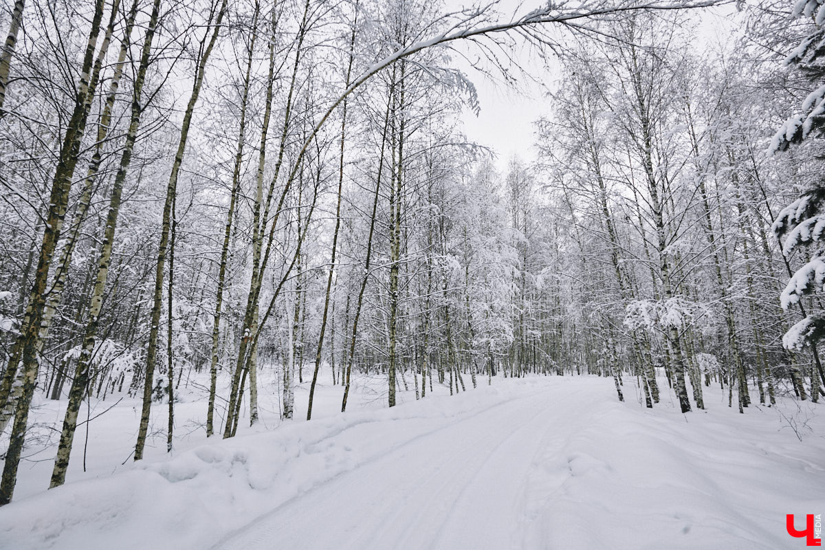 У владимирского блогера Анны Антоновой (в девичестве — Шиш) была мечта — жить в треугольном доме! Муж девушки, Артем, поспешил воплотить мечту любимой в реальность, а потому за несколько месяцев своими руками построил уютное семейное гнездышко. «Ключ-Медиа» побывал в гостях у молодоженов и узнал, каково им жить в уединении посреди заснеженного леса.
