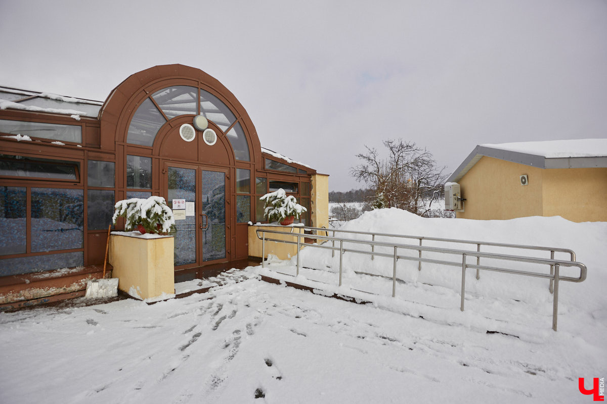 Ищете локацию для тропикана-фотосессии? В черте Владимира есть настоящие джунгли! «Ключ-Медиа» побывал в трёх местных оранжереях, чтобы вам о них рассказать. Как туда пробраться, кого по пути встретить, какие растения увидеть — обо всём этом читайте в нашем материале!