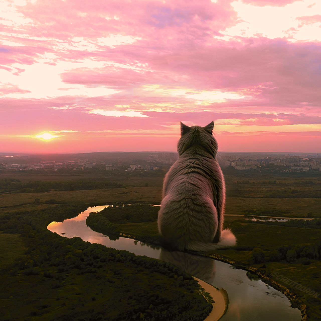 Четыре нейропятницы Telegram-канала «Чей-то дрон» позади. Золотые ворота пронеслись сквозь несколько измерений, город сильно изменился. Технологии не пощадили даже котов! Наслаждаемся эффектным визуалом и узнаём у авторов Telegram-канала, как создаются нерукотворные картины.