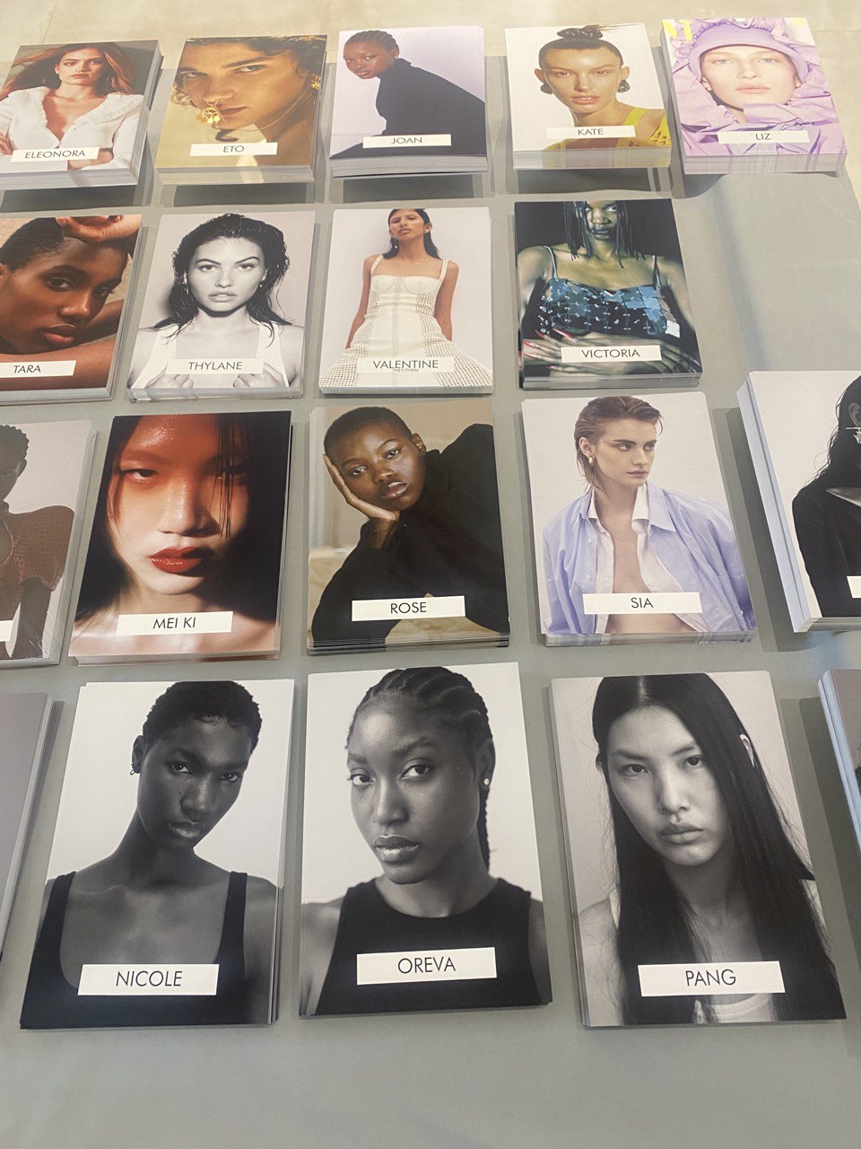 Милан, держись! Владимирская модель Анастасия Машурова прошла множество кастингов и получила сразу несколько предложений о работе на Неделе моды в Италии.