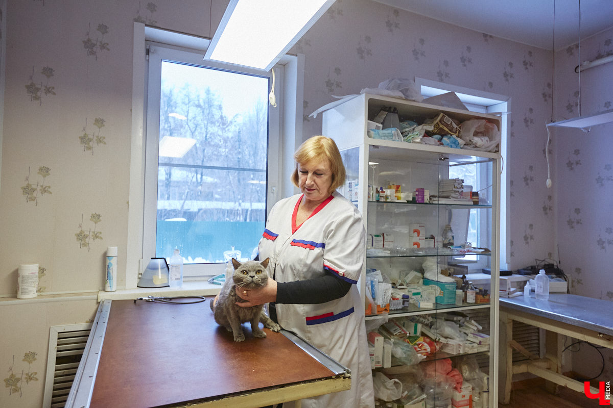 Не секрет, что сейчас «Валента» переживает не лучшие свои времена. Из-за жалоб жителей ему грозит закрытие. Какие есть альтернативные варианты для переезда и почему они не подходят? Отвечает основательница приюта для животных Валентина Сокова.