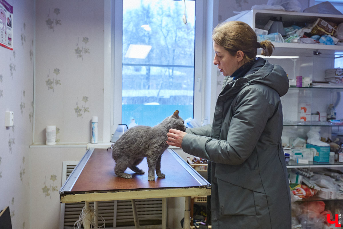 Не секрет, что сейчас «Валента» переживает не лучшие свои времена. Из-за жалоб жителей ему грозит закрытие. Какие есть альтернативные варианты для переезда и почему они не подходят? Отвечает основательница приюта для животных Валентина Сокова.