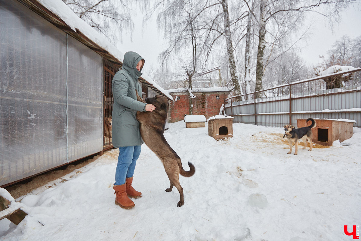 Не секрет, что сейчас «Валента» переживает не лучшие свои времена. Из-за жалоб жителей ему грозит закрытие. Какие есть альтернативные варианты для переезда и почему они не подходят? Отвечает основательница приюта для животных Валентина Сокова.
