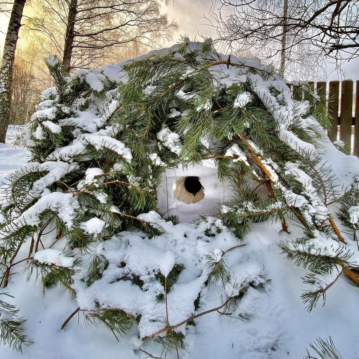 Вместо центрального отопления — печка, вместо водопровода — колодец. Переехать из комфортной городской квартиры в деревенский дом возле леса захочет не каждый. А вот фотограф Владислав Тябин провел зиму вдали от цивилизации и теперь уверен: это были три самых интересных месяца в его жизни.