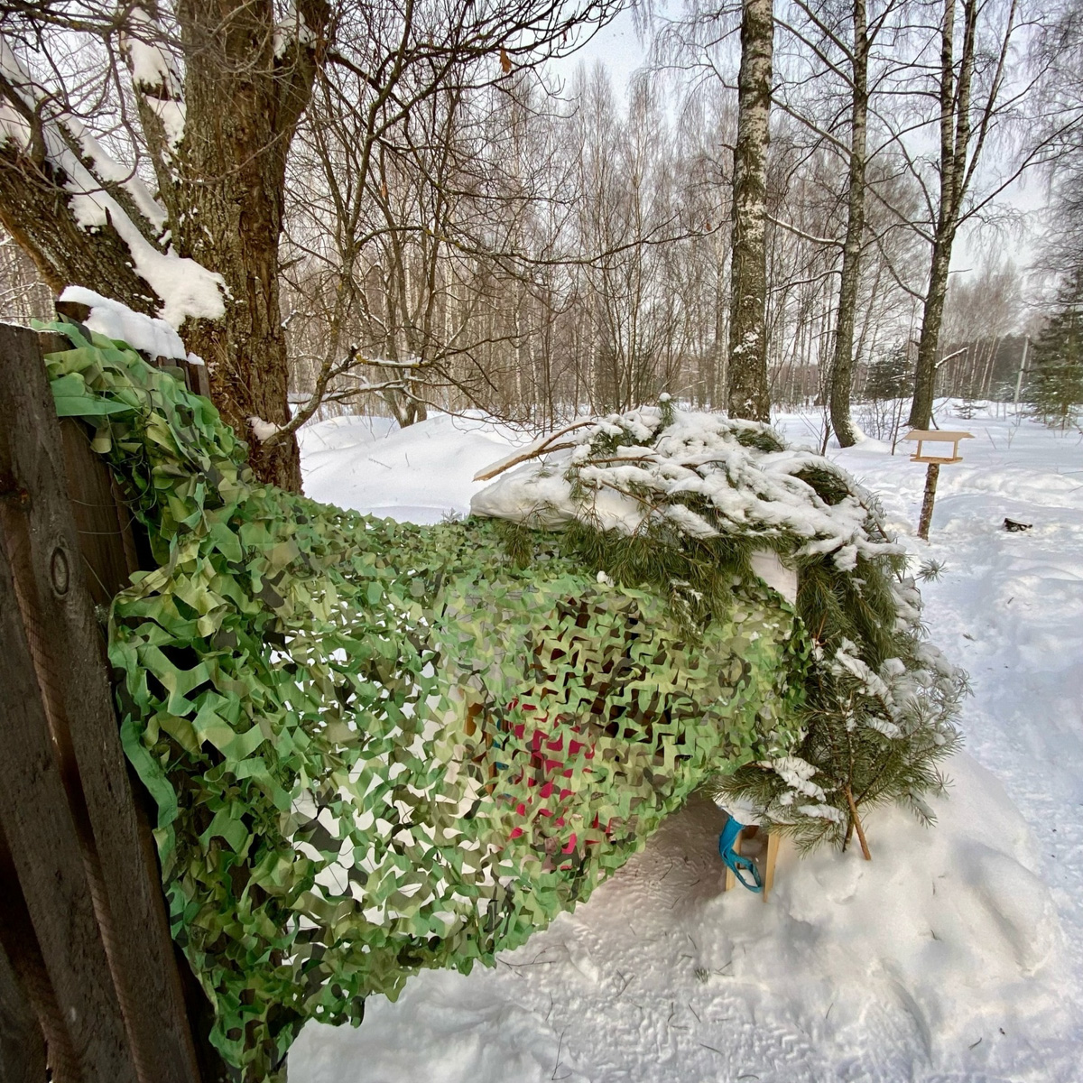 Вместо центрального отопления — печка, вместо водопровода — колодец. Переехать из комфортной городской квартиры в деревенский дом возле леса захочет не каждый. А вот фотограф Владислав Тябин провел зиму вдали от цивилизации и теперь уверен: это были три самых интересных месяца в его жизни.