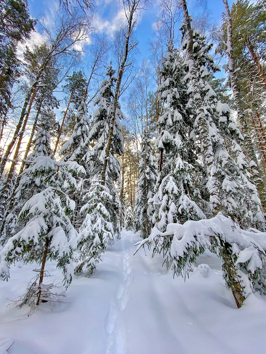 Вместо центрального отопления — печка, вместо водопровода — колодец. Переехать из комфортной городской квартиры в деревенский дом возле леса захочет не каждый. А вот фотограф Владислав Тябин провел зиму вдали от цивилизации и теперь уверен: это были три самых интересных месяца в его жизни.