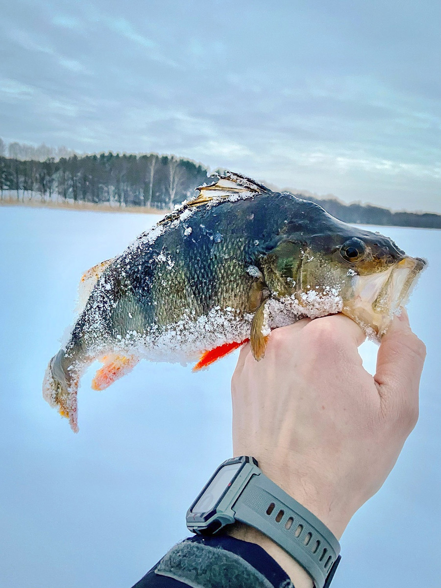 Вместо центрального отопления — печка, вместо водопровода — колодец. Переехать из комфортной городской квартиры в деревенский дом возле леса захочет не каждый. А вот фотограф Владислав Тябин провел зиму вдали от цивилизации и теперь уверен: это были три самых интересных месяца в его жизни.