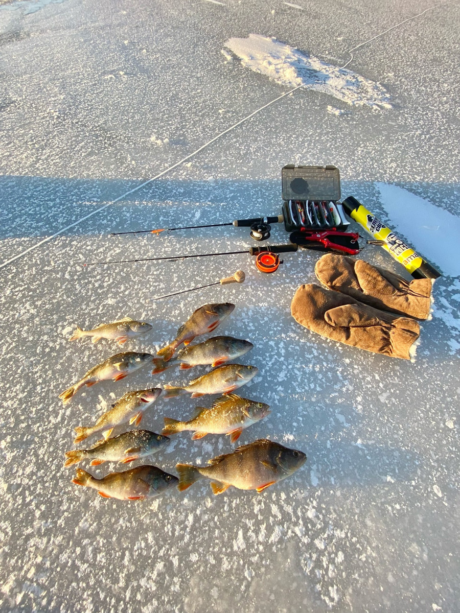 Вместо центрального отопления — печка, вместо водопровода — колодец. Переехать из комфортной городской квартиры в деревенский дом возле леса захочет не каждый. А вот фотограф Владислав Тябин провел зиму вдали от цивилизации и теперь уверен: это были три самых интересных месяца в его жизни.