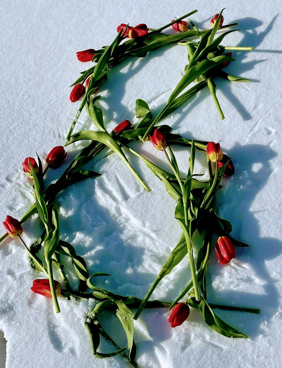 Всего за один день владимирские мужчины выполнили план по вручению цветов сразу на год вперед. Такие очереди за розами и тюльпанами будут не скоро, а значит, это 8 марта надо запомнить надолго, тем более в минувший праздник было место и креативному подходу к поздравлениям милых дам!