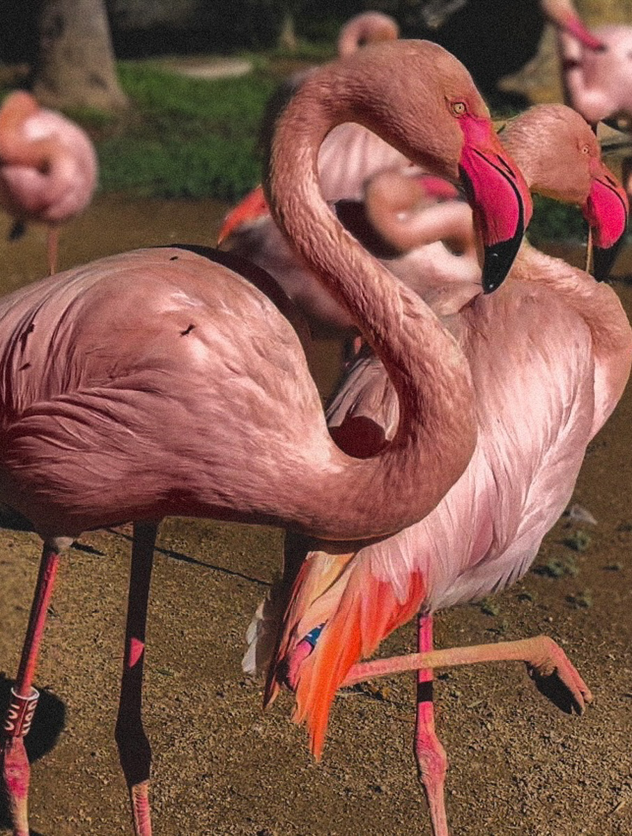 Владимирская светская львица и fashion girl Анна Черноморская шутит, что ей впору менять ник на Средиземноморская. Почему? Все просто. Ее супругу предложили работу мечты на Кипре, и теперь она живет то там, то в России. Также Анна успела побывать в разных уголках Парижа. Обо всем этом девушка рассказала в интервью нашему изданию.