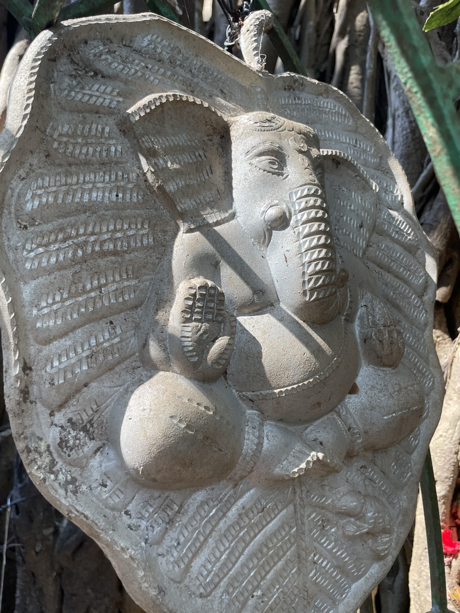 В самом начале декабря Екатерина Зимина из Коврова вместе с семьей отправилась на берег Аравийского моря. Три месяца на юго-западном побережье Индии прошли незаметно, ведь весь день на Гоа — это график, о котором можно только мечтать!