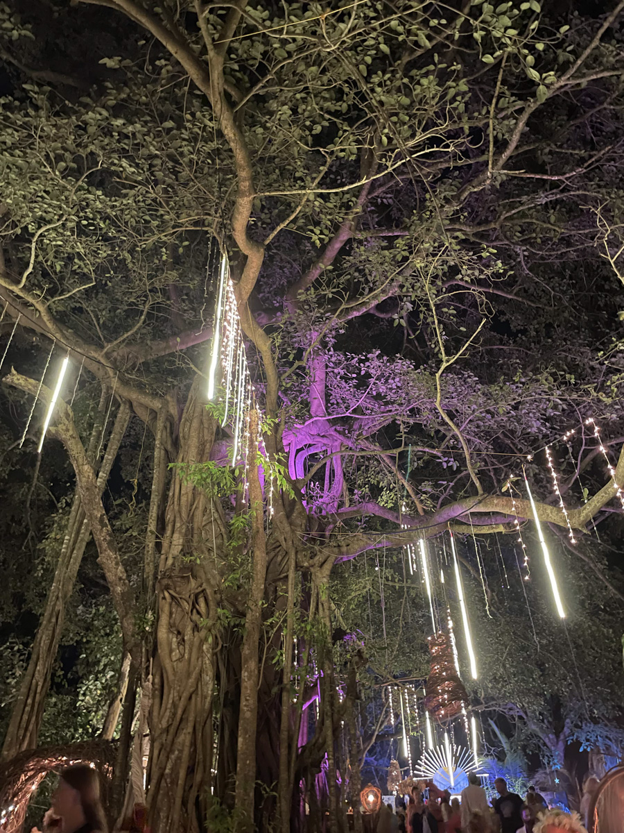 В самом начале декабря Екатерина Зимина из Коврова вместе с семьей отправилась на берег Аравийского моря. Три месяца на юго-западном побережье Индии прошли незаметно, ведь весь день на Гоа — это график, о котором можно только мечтать!