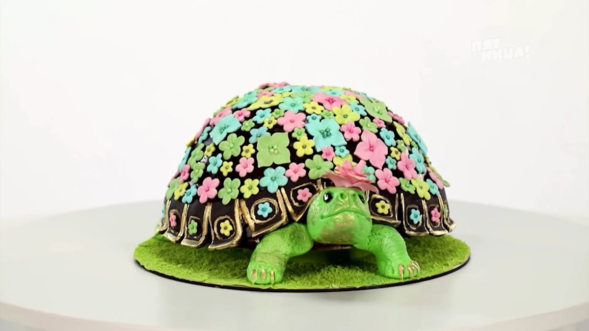 Анастасия Круглова из Владимира представила жюри шоу «Кондитер» балканскую черепашку. Внешний вид и вкус изделия с ванильным бисквитом и сливочно-сметанным кремом оценил ведущий программы Ренат Агзамов. «В этом десерте сложилось все, что я люблю», — признался он. Таким образом, жительница областного центра получила путевку в финал. Но удалось ли ей выйти в суперфинал?