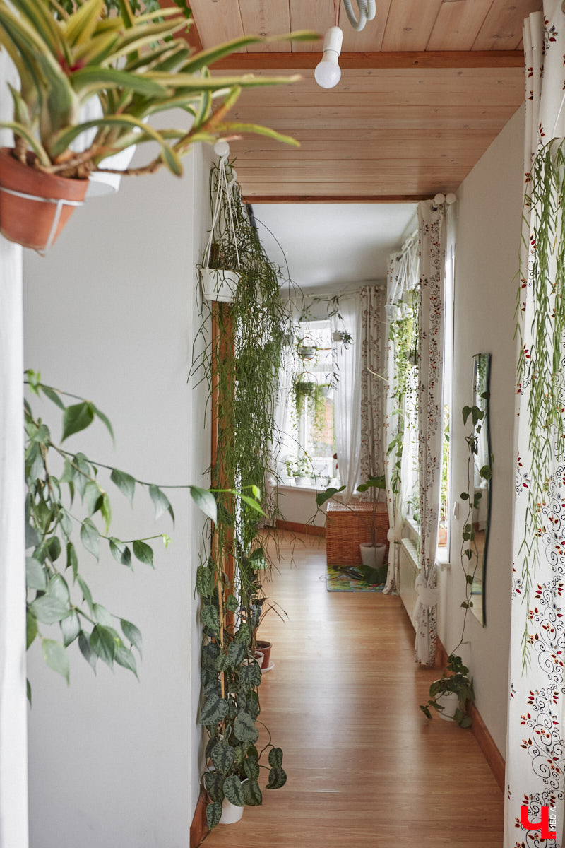 У коллекционера растений из Владимира Екатерины Вдовиной в доме тысячи видов цветов. Специально для них даже построили большую оранжерею с панорамными окнами, но и этого оказалось мало. Сейчас на 150 квадратных метрах таунхауса нет места без яркого акцента зеленого цвета. Но самое интересное: пространство для жизни Екатерине приснилось задолго до его покупки. 