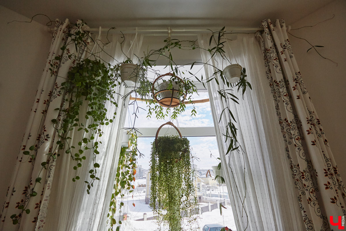 У коллекционера растений из Владимира Екатерины Вдовиной в доме тысячи видов цветов. Специально для них даже построили большую оранжерею с панорамными окнами, но и этого оказалось мало. Сейчас на 150 квадратных метрах таунхауса нет места без яркого акцента зеленого цвета. Но самое интересное: пространство для жизни Екатерине приснилось задолго до его покупки. 