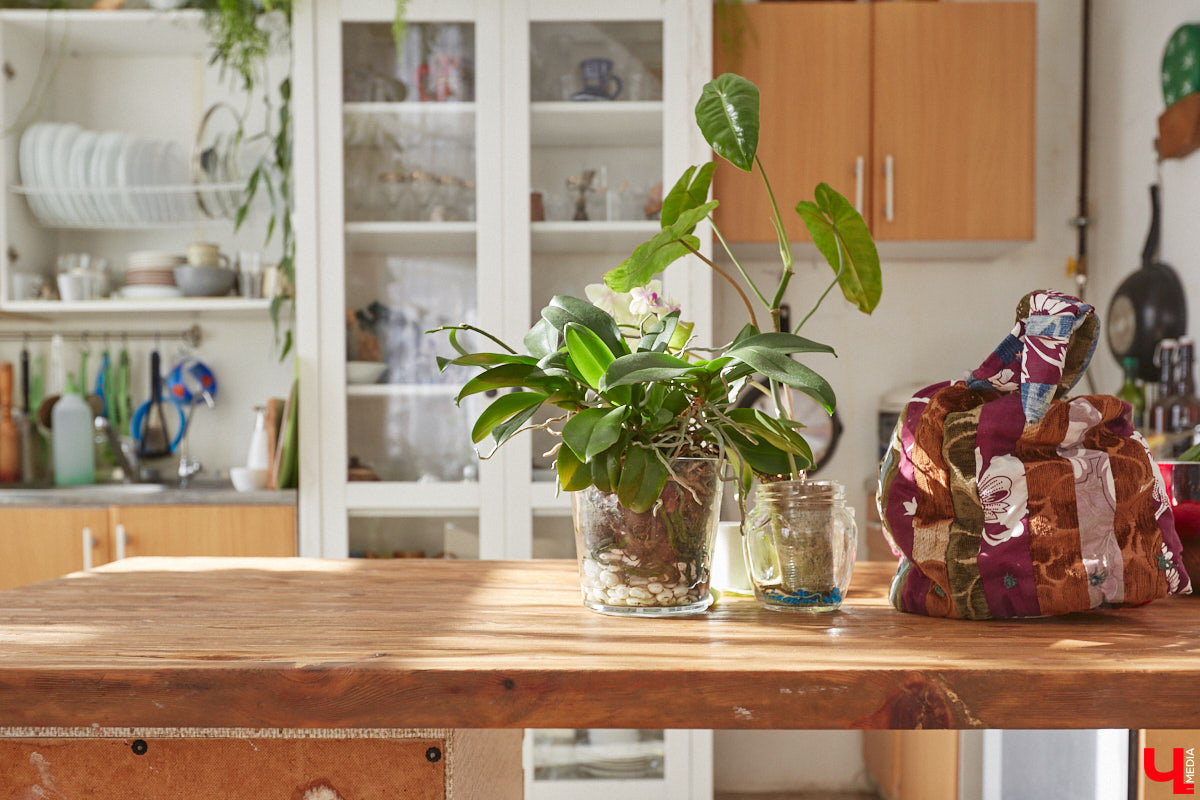 У коллекционера растений из Владимира Екатерины Вдовиной в доме тысячи видов цветов. Специально для них даже построили большую оранжерею с панорамными окнами, но и этого оказалось мало. Сейчас на 150 квадратных метрах таунхауса нет места без яркого акцента зеленого цвета. Но самое интересное: пространство для жизни Екатерине приснилось задолго до его покупки. 