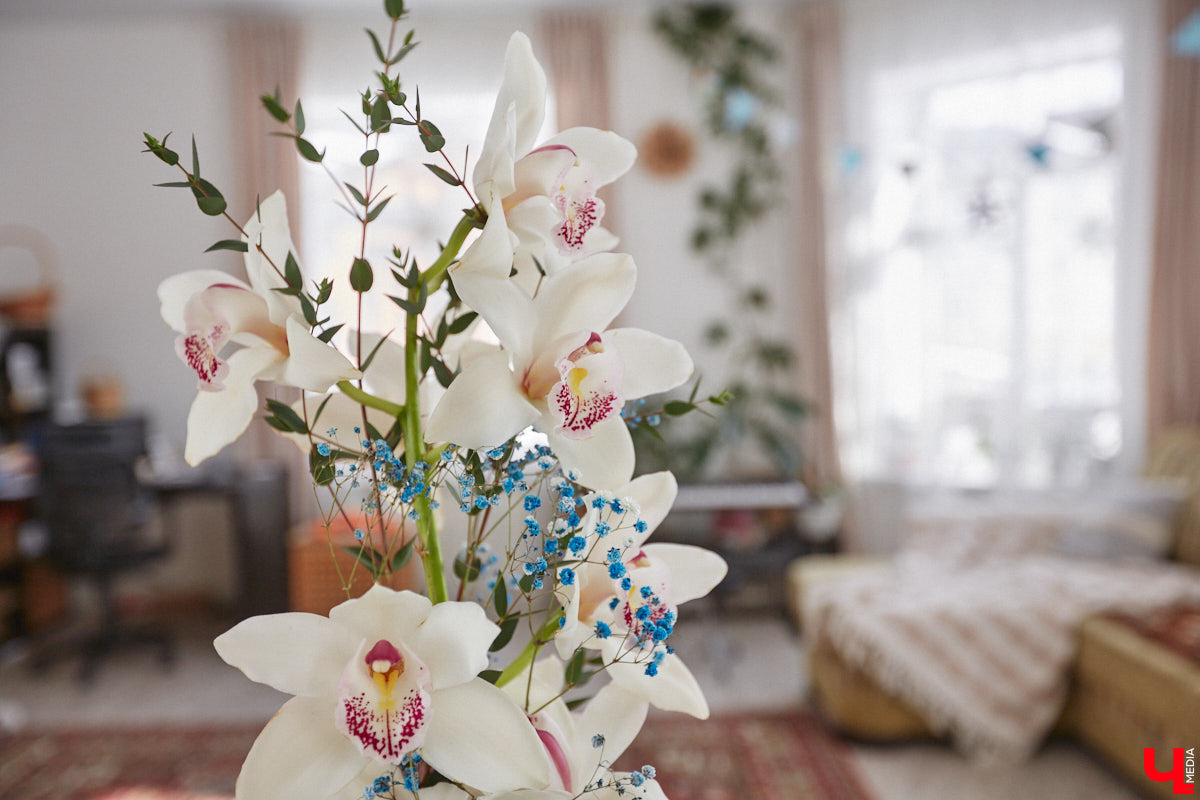 У коллекционера растений из Владимира Екатерины Вдовиной в доме тысячи видов цветов. Специально для них даже построили большую оранжерею с панорамными окнами, но и этого оказалось мало. Сейчас на 150 квадратных метрах таунхауса нет места без яркого акцента зеленого цвета. Но самое интересное: пространство для жизни Екатерине приснилось задолго до его покупки. 