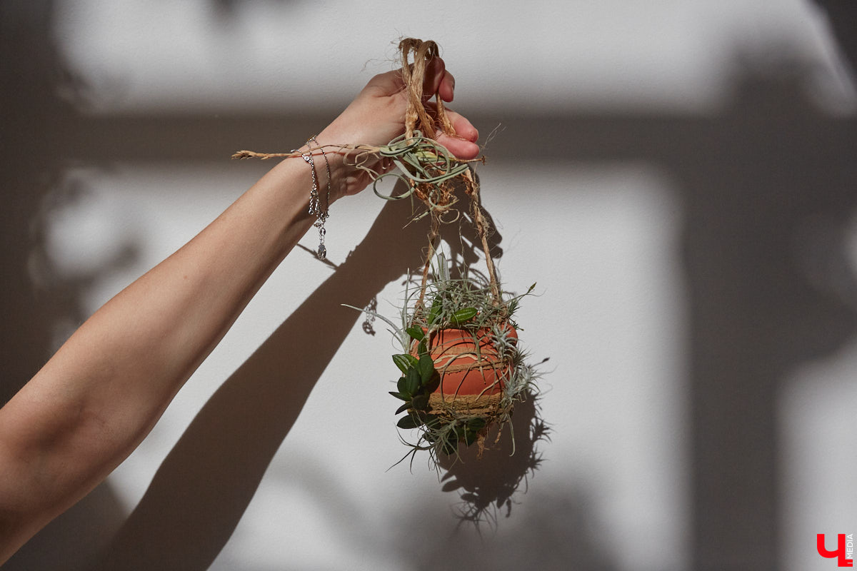 У коллекционера растений из Владимира Екатерины Вдовиной в доме тысячи видов цветов. Специально для них даже построили большую оранжерею с панорамными окнами, но и этого оказалось мало. Сейчас на 150 квадратных метрах таунхауса нет места без яркого акцента зеленого цвета. Но самое интересное: пространство для жизни Екатерине приснилось задолго до его покупки. 