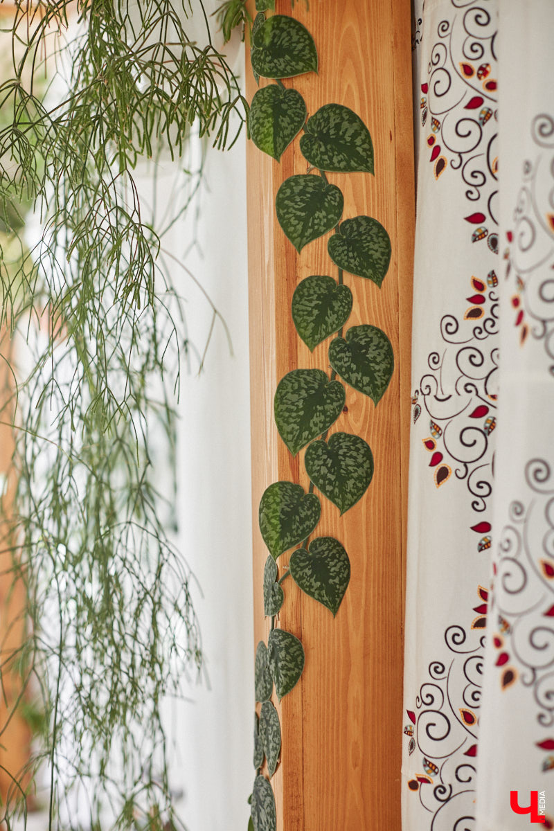 У коллекционера растений из Владимира Екатерины Вдовиной в доме тысячи видов цветов. Специально для них даже построили большую оранжерею с панорамными окнами, но и этого оказалось мало. Сейчас на 150 квадратных метрах таунхауса нет места без яркого акцента зеленого цвета. Но самое интересное: пространство для жизни Екатерине приснилось задолго до его покупки. 