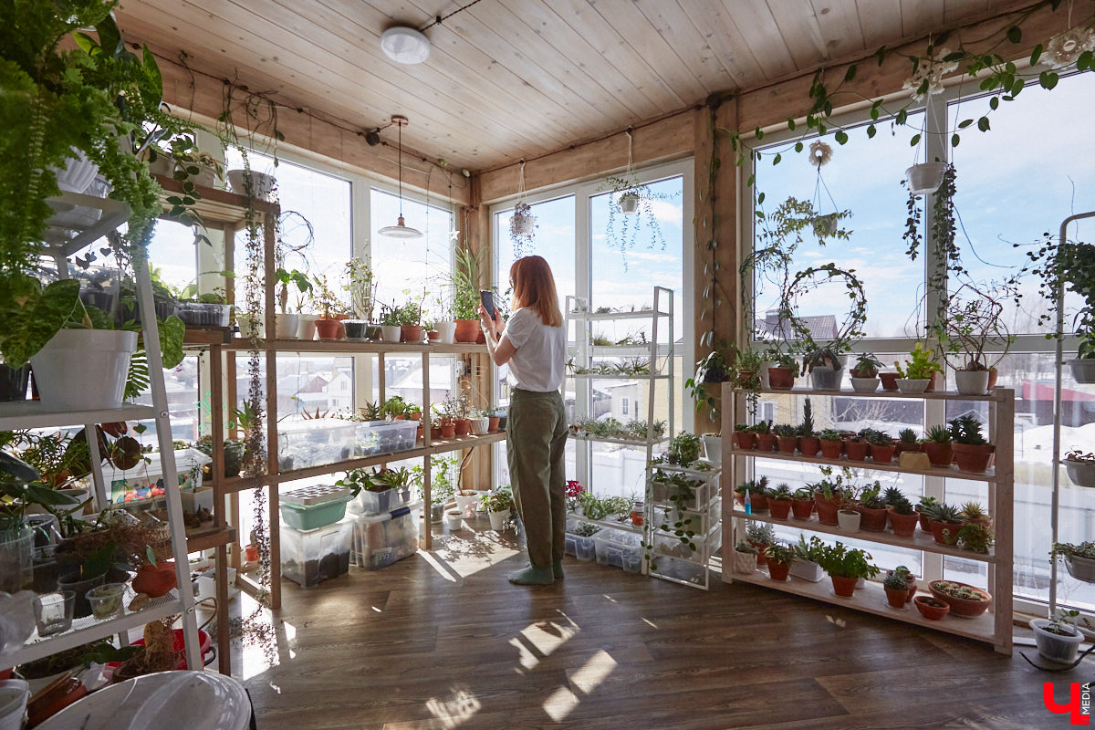 У коллекционера растений из Владимира Екатерины Вдовиной в доме тысячи видов цветов. Специально для них даже построили большую оранжерею с панорамными окнами, но и этого оказалось мало. Сейчас на 150 квадратных метрах таунхауса нет места без яркого акцента зеленого цвета. Но самое интересное: пространство для жизни Екатерине приснилось задолго до его покупки. 