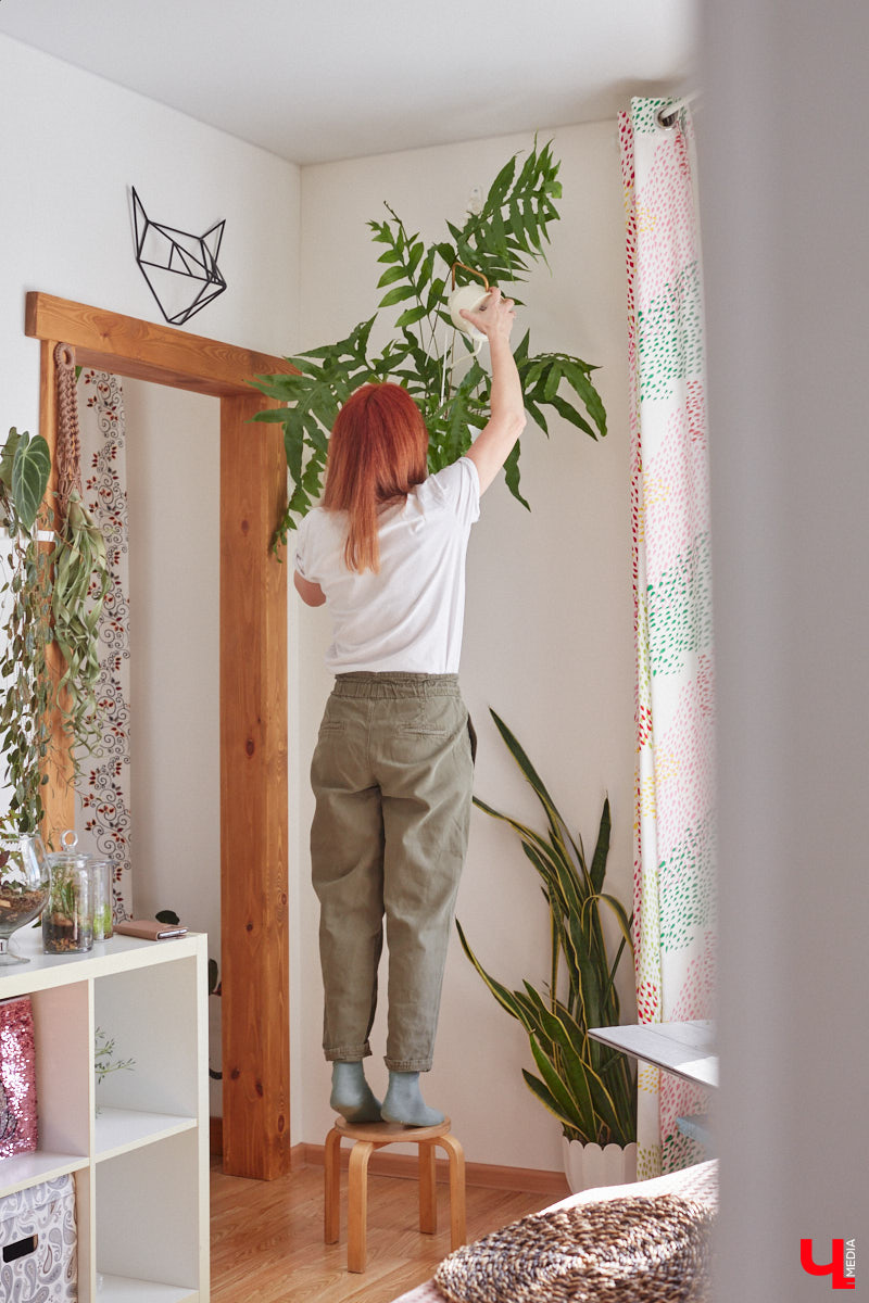 У коллекционера растений из Владимира Екатерины Вдовиной в доме тысячи видов цветов. Специально для них даже построили большую оранжерею с панорамными окнами, но и этого оказалось мало. Сейчас на 150 квадратных метрах таунхауса нет места без яркого акцента зеленого цвета. Но самое интересное: пространство для жизни Екатерине приснилось задолго до его покупки. 