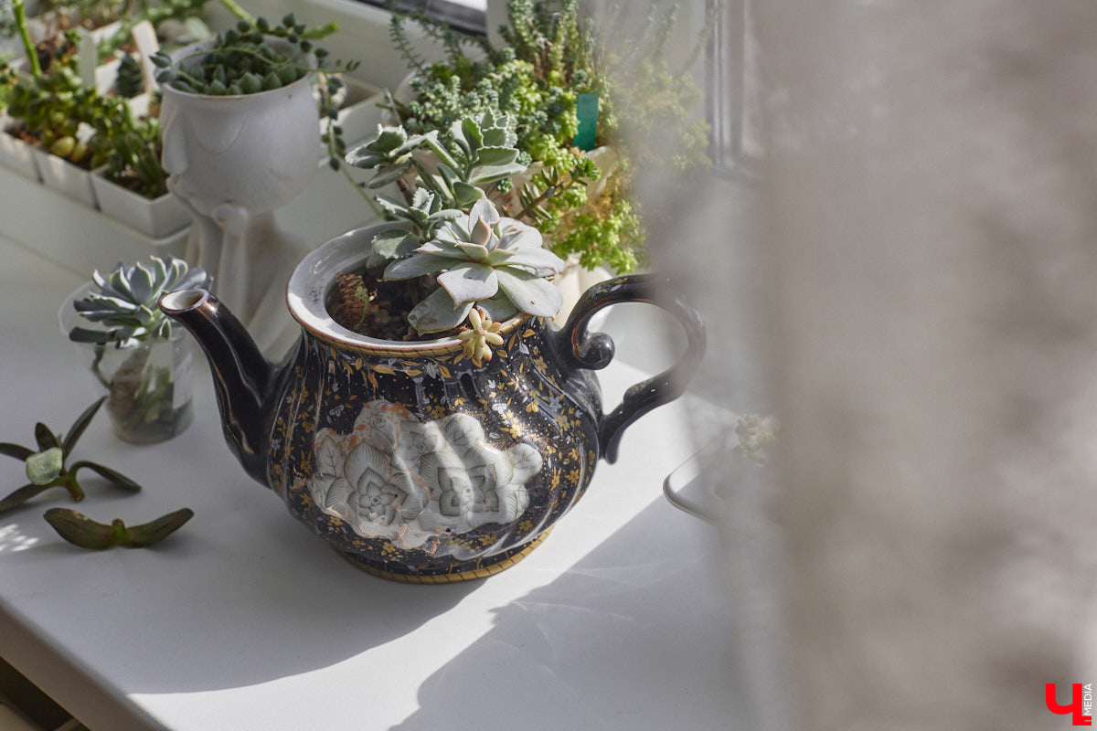 У коллекционера растений из Владимира Екатерины Вдовиной в доме тысячи видов цветов. Специально для них даже построили большую оранжерею с панорамными окнами, но и этого оказалось мало. Сейчас на 150 квадратных метрах таунхауса нет места без яркого акцента зеленого цвета. Но самое интересное: пространство для жизни Екатерине приснилось задолго до его покупки. 