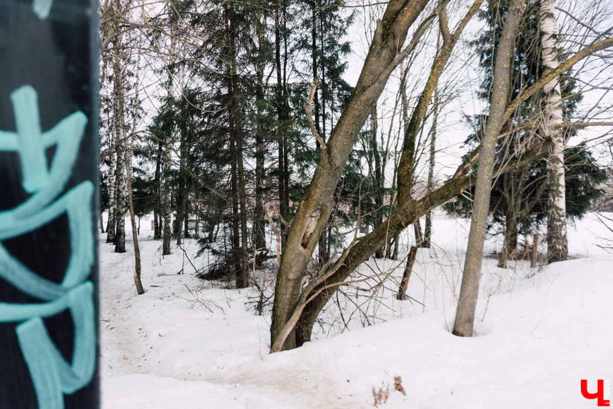 Появится ли спорткомплекс на Суздальском проспекте, планирование которого началось аж 15 лет назад? Изменится ли что-то в облике дома-памятника на Гагарина, чей ремонт затянулся на четыре года? Об этих и других жаждущих строительно-реставрационного вмешательства проектах рассказываем в материале.