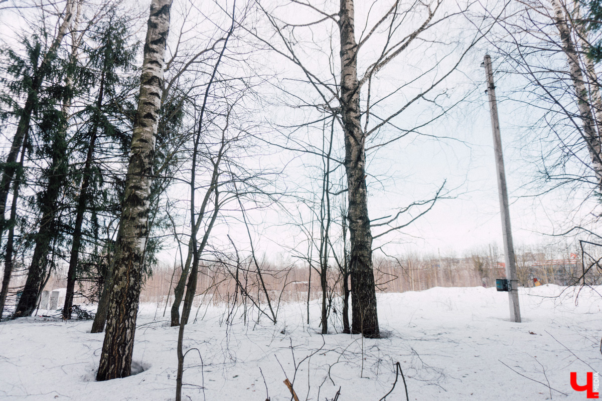 Появится ли спорткомплекс на Суздальском проспекте, планирование которого началось аж 15 лет назад? Изменится ли что-то в облике дома-памятника на Гагарина, чей ремонт затянулся на четыре года? Об этих и других жаждущих строительно-реставрационного вмешательства проектах рассказываем в материале.