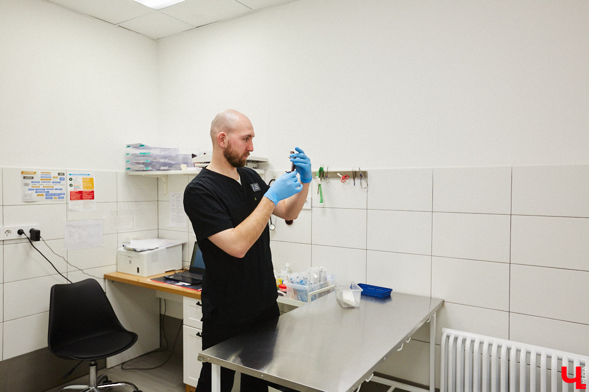 Завести рептилию в качестве домашнего любимца — большая ответственность. Мало того, что ее требуется содержать в специальных условиях, еще и врач нужен особый — герпетолог. Во Владимире такой есть. Мы познакомились с Игнатием Рязановым и разузнали, как его интерес к пресмыкающимся вырос в профессию.