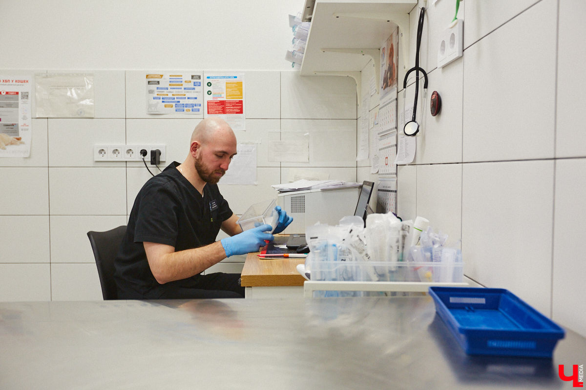 Завести рептилию в качестве домашнего любимца — большая ответственность. Мало того, что ее требуется содержать в специальных условиях, еще и врач нужен особый — герпетолог. Во Владимире такой есть. Мы познакомились с Игнатием Рязановым и разузнали, как его интерес к пресмыкающимся вырос в профессию.