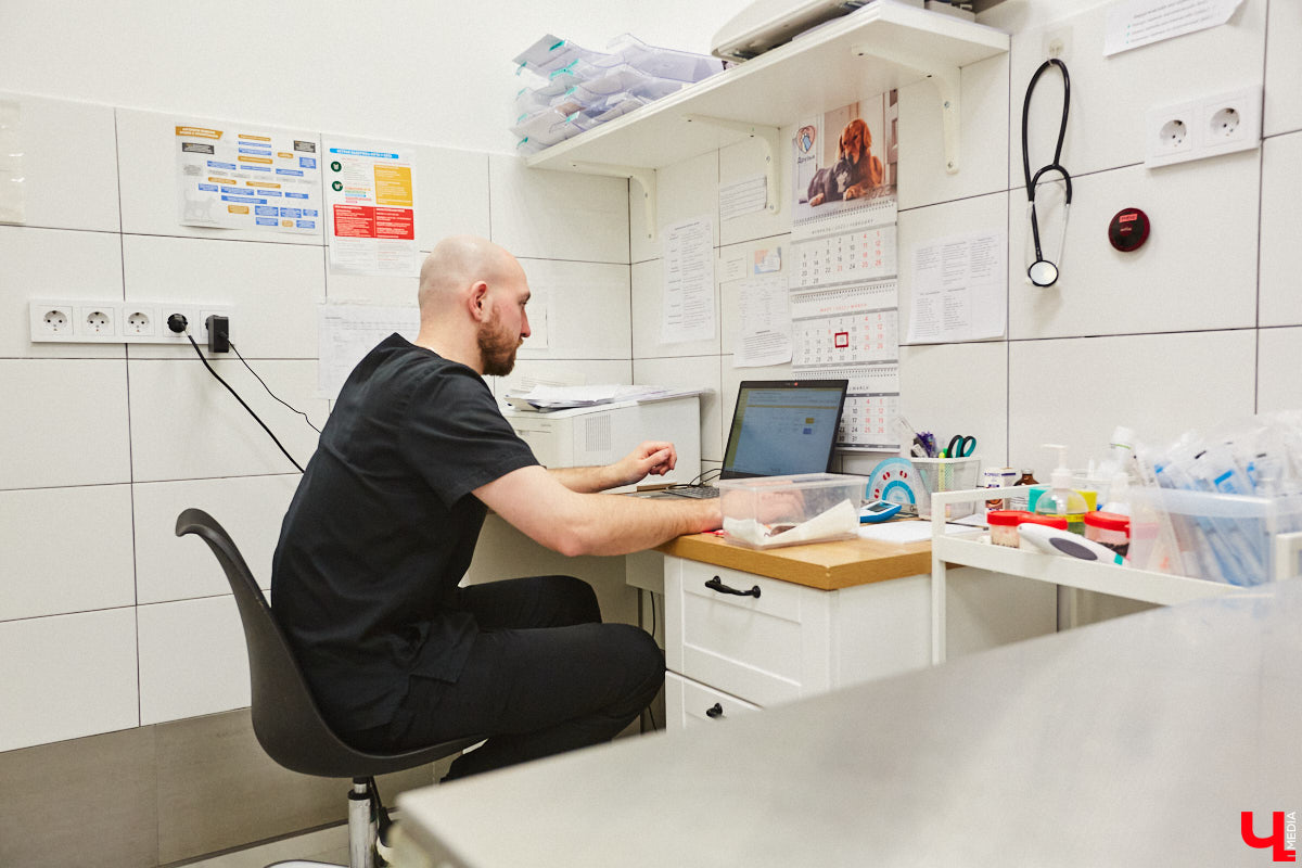 Завести рептилию в качестве домашнего любимца — большая ответственность. Мало того, что ее требуется содержать в специальных условиях, еще и врач нужен особый — герпетолог. Во Владимире такой есть. Мы познакомились с Игнатием Рязановым и разузнали, как его интерес к пресмыкающимся вырос в профессию.