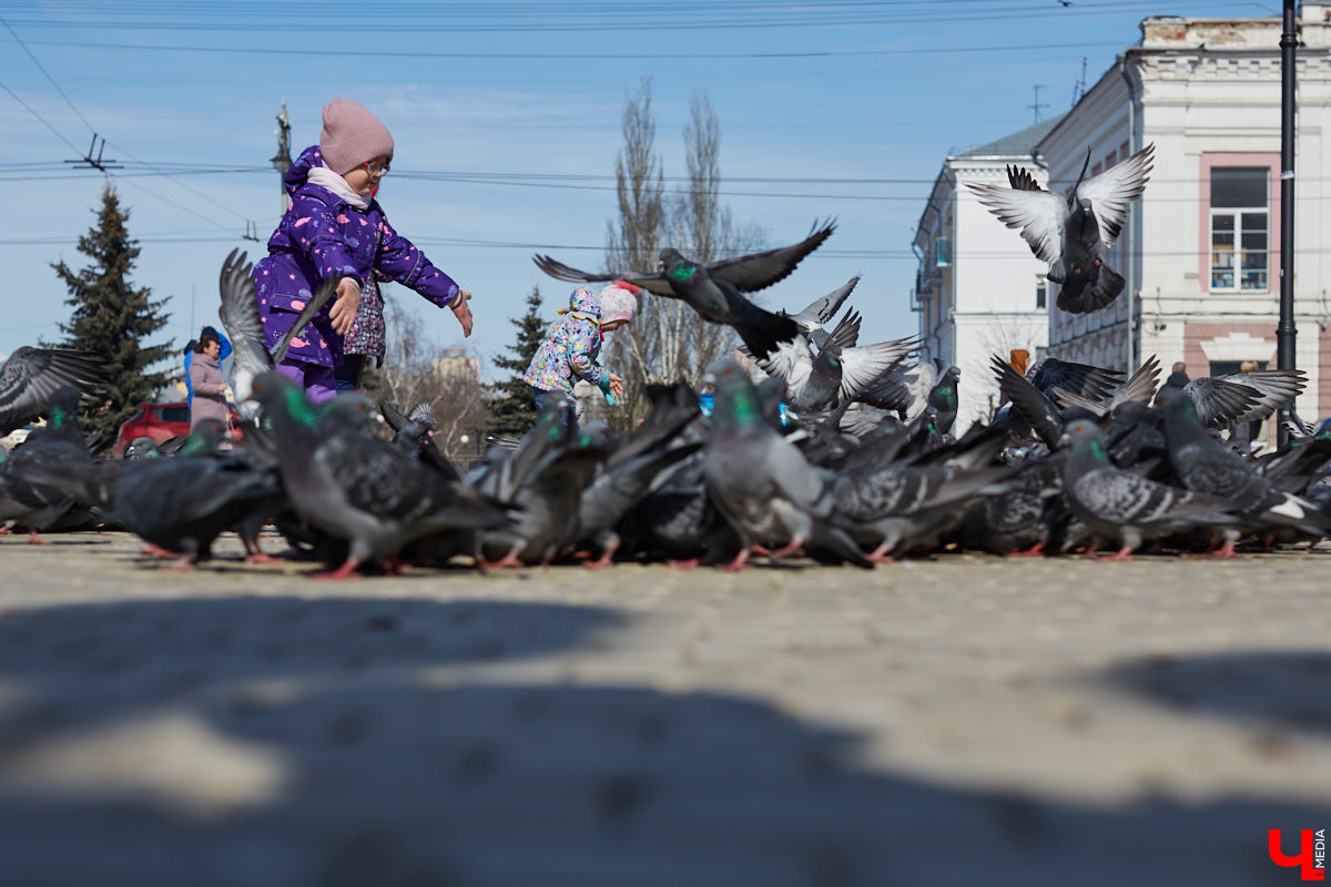 Какую погоду принесет жителям 33-го региона спешащий на смену марту апрель? Скажем сразу: резиновые сапоги и зонты нам точно еще пригодятся! А вот что насчет теплой одежды?