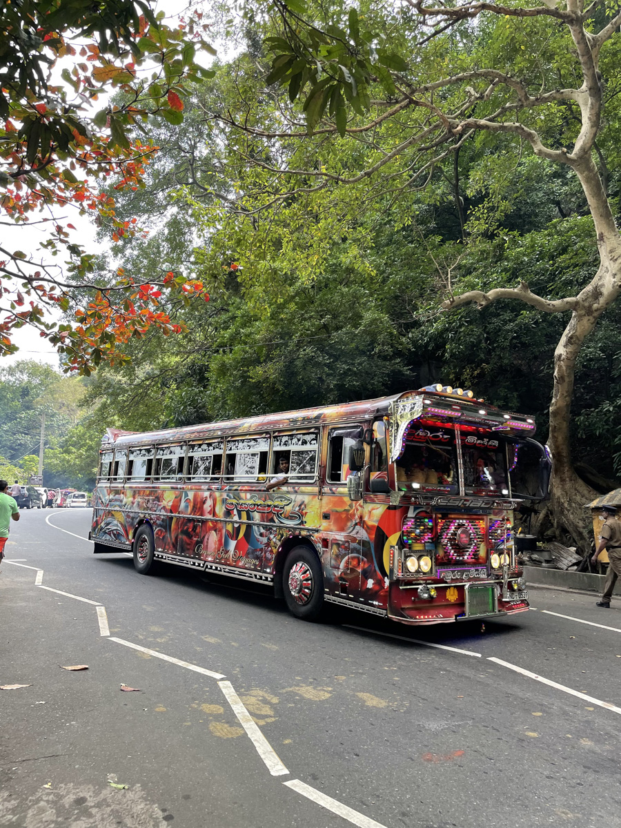 Константин Востриков четыре месяца прожил на острове в Индийском океане. Шри-Ланка — идеальное место для сёрфинга, а потому и пленила его возможностью поймать волну верхом на доске. Ради любимого хобби молодой человек был готов проводить на воде круглые сутки, а теперь, вернувшись домой во Владимир, вспоминает о том, как же это было круто!